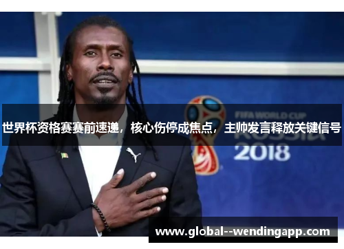 世界杯资格赛赛前速递,核心伤停成焦点,主帅发言释放关键信号 世界杯资格赛赛前速递,核心伤停成焦点,主帅发言释放关键信号