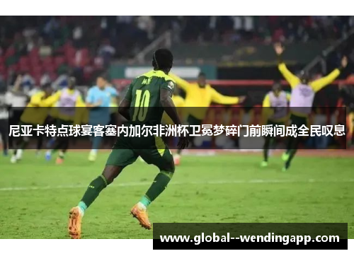尼亚卡特点球宴客塞内加尔非洲杯卫冕梦碎门前瞬间成全民叹息 尼亚卡特点球宴客塞内加尔非洲杯卫冕梦碎门前瞬间成全民叹息