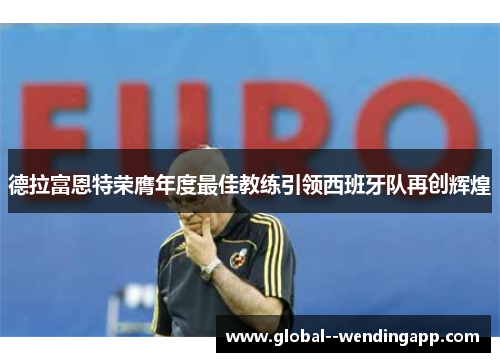 德拉富恩特荣膺年度最佳教练引领西班牙队再创辉煌 德拉富恩特荣膺年度最佳教练引领西班牙队再创辉煌